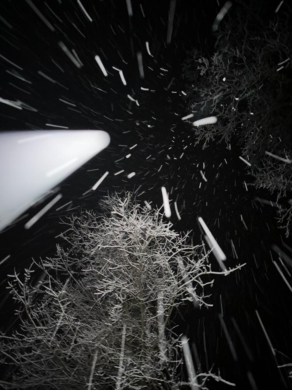 snowstorm
